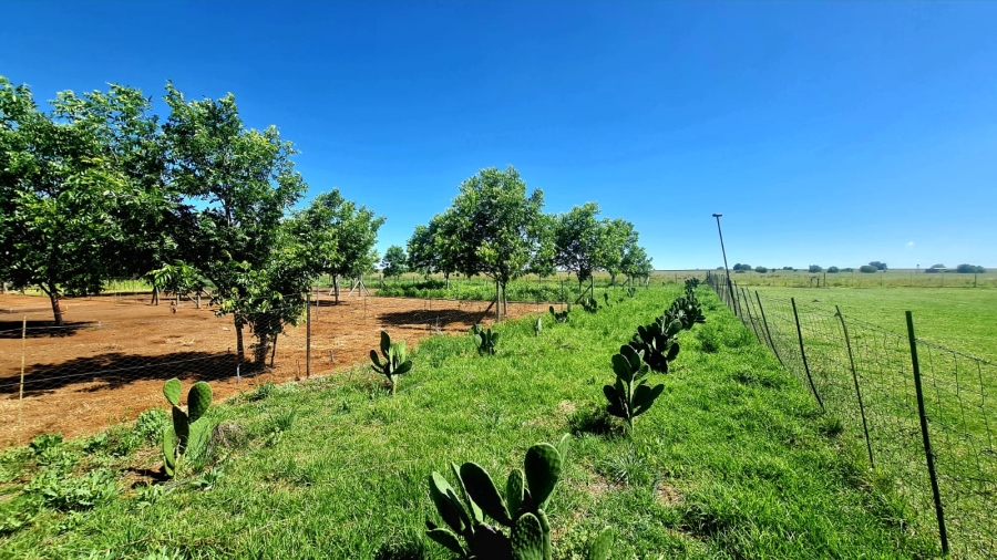 Commercial Property for Sale in Bainsvlei Free State